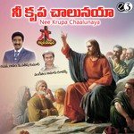 Nee Krupa Chaalunaya songs mp3