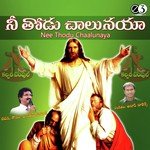 Nee Krupanu Gurchi Srinu Song Download Mp3
