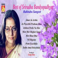 Man Mor Megher Sangi Sriradha Bandyopadhyay Song Download Mp3
