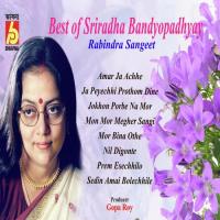 Best Of Sriradha Bandyopadhyay songs mp3