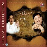 Mai Tujhe Bhool Na Paya (From "Jazbaat") Jaswant Singh Song Download Mp3