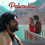 Palwashay Zeeshan Khan Rokhri Song Download Mp3