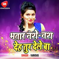 Bhatar Nase Nas Deh Toor Dele Ba songs mp3