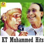 KT Muhammed Hits songs mp3
