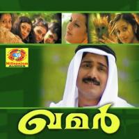Pathinalamravu Afsal Song Download Mp3