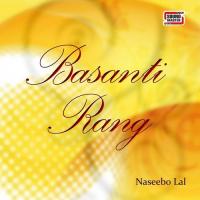 Aaya Basanti Mela Naseebo Lal Song Download Mp3