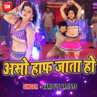 Jogar Hamar Raja Ho Baiganwa Khoje Sunil Super Fast Song Download Mp3