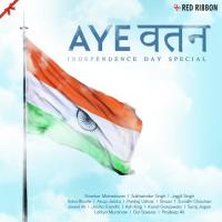 Vande Mataram Shaan,Raju Rao,Vipin Yadav Song Download Mp3