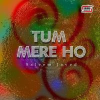 Ek Bar Remix Saleem Javed Song Download Mp3