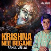 Krishna Nee Begane Rahul Vellal Song Download Mp3