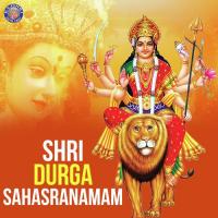Shri Durga Sahasranamam songs mp3
