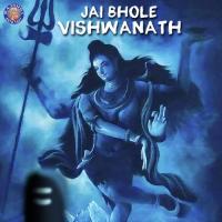 Jai Bhole Vishwanath songs mp3