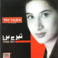 Tere Bin songs mp3