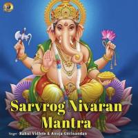 Sarvrog Nivaran Mantra Anuja Gorinandan,Rahul Vidhne Song Download Mp3