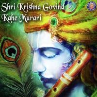 Shri Krishna Govinda Hare Murare Ketan Patwardhan Song Download Mp3