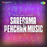 Tere Bina Zindagi Se Pranav Chandran Song Download Mp3