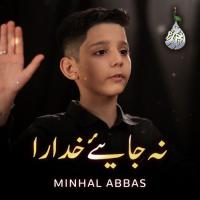 Na Jaiye Khudara Minhal Abbas Song Download Mp3
