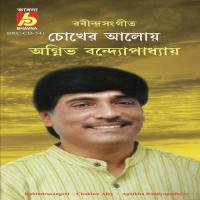 Tumi Robe Nibobe Agnibha Bandyopadhyay Song Download Mp3
