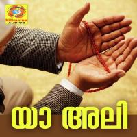 Yaa Aali Adil Athu Song Download Mp3