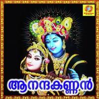 Neelasalilame Anuradha Dutt Song Download Mp3