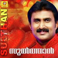 Sulthan songs mp3