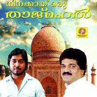 Neelavarna Kannur Shareef Song Download Mp3