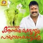 Kadam Parangha Kalabhavan Mani Song Download Mp3