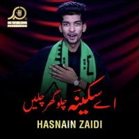 Aaiy Sakina Chalo Ghar Chalain Hasnain Zaidi Song Download Mp3