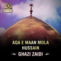 Haider Ya Ali Mola Ghazi Zaidi Song Download Mp3