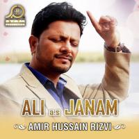 Paigham E Azadar Amir Hussain Rizvi Song Download Mp3