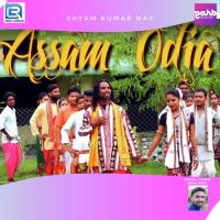 Assam Odia Shyam Kumar Nag Song Download Mp3