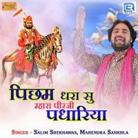 Picham Dhara Su Mhara Pirji Padhariya Salim Shekhawas,Mahendra Sankhla Song Download Mp3