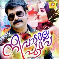 Nee Vadalle Poove songs mp3