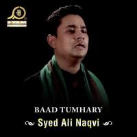 Karbala Ki Luti Hun Syed Ali Naqvi Song Download Mp3
