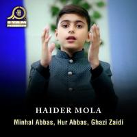 Haider Mola Ghazi Zaidi,Minhal Abbas,Hur Abbas Song Download Mp3