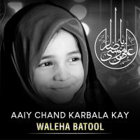 Aaiy Chand Karbala Kay Waleha Batool Song Download Mp3