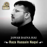 Jan Agha Raza Hussain Naqvi Song Download Mp3