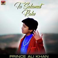 Tu Salamat Rahe Prince Ali Khan Song Download Mp3