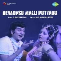 Devadasu Malli Puttadu songs mp3