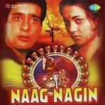 Tu Naag Main Nagin - 1 Nitin Mukesh,Kavita Krishnamurthy Song Download Mp3