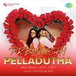 Malli Ammammo Vachade K. S. Chithra Song Download Mp3