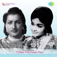 Thotalo Pilla Kotalo Rani songs mp3