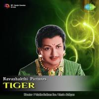 Tiger songs mp3