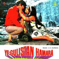 Ye Gulistan Hamara songs mp3