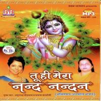 Tu Hi Tu Hi Tu Hi To Hai Mera Nandnandan Anuradha Paudwal Song Download Mp3