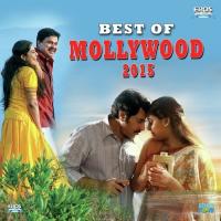 Best of Mollywood 2015 songs mp3