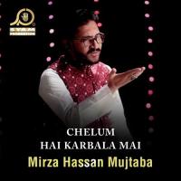 Chelum Hai Karbala Mai songs mp3