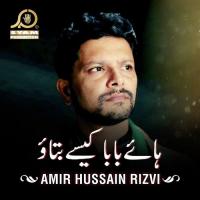 Is Tarha Say Laila Nay Amir Hussain Rizvi Song Download Mp3