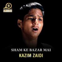 Sham Ke Bazar Mai songs mp3