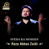 Syeda Ka Mohsin songs mp3